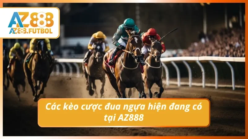 03 kèo cược có thể lựa chọn trong cược đua ngựa