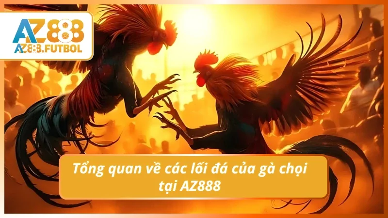 Hiểu rõ các lối đá của gà chọi tại AZ888
