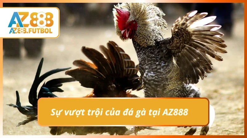 Ưu thế vượt bật khi so với nhà cái khác tại AZ888